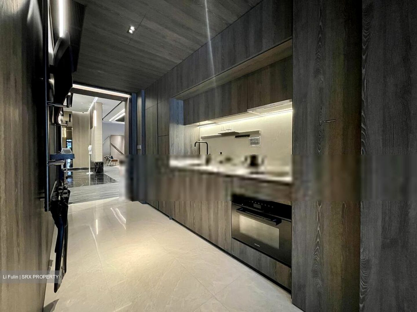 Harbourfront Avenue (D4), Condominium #598710511